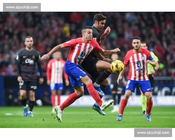 意大利对阵瑞典强强对话引爆欧洲足球焦点之战赛场期待巅峰较量